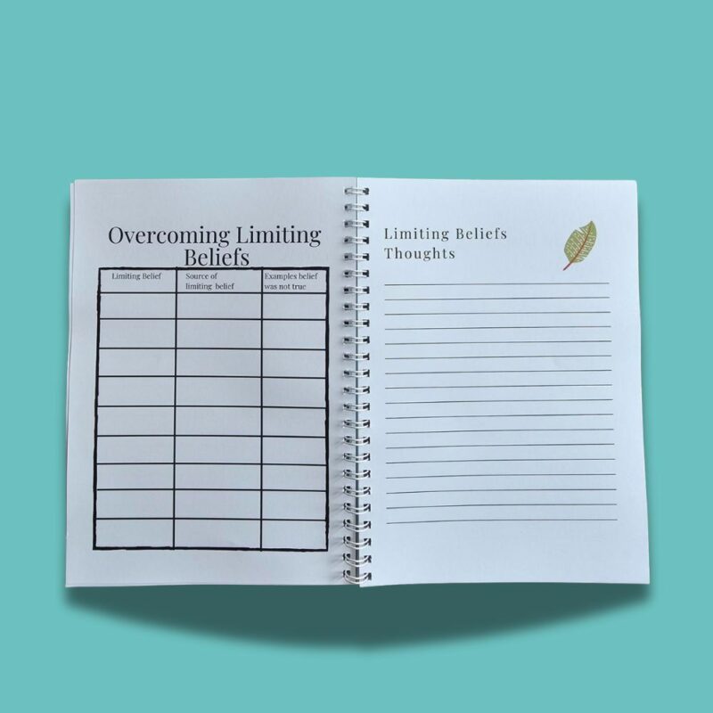 Nurturing Teachers self-care journal a mental health and wellness journal designed for teachers.
